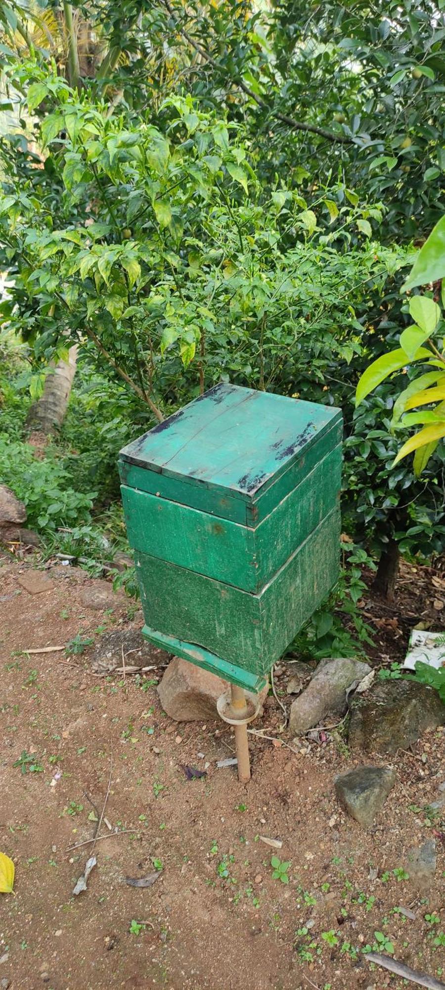 Koonamparayil Home Stay Munnar Anaviratty-Family Only Exterior foto